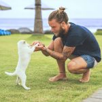 Pet Training Outcomes: 7 Proven Ways to Avoid Painful Group Class Mistakes