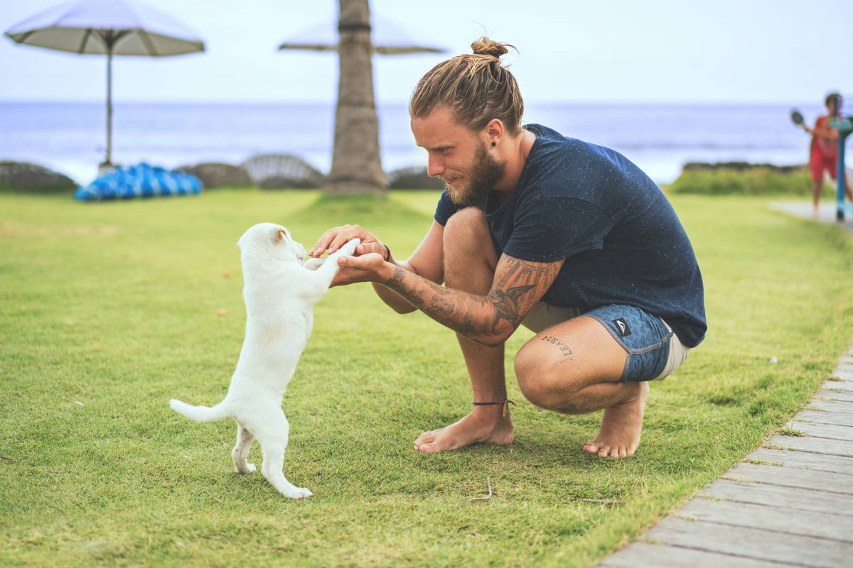 Pet Training Outcomes: 7 Proven Ways to Avoid Painful Group Class Mistakes